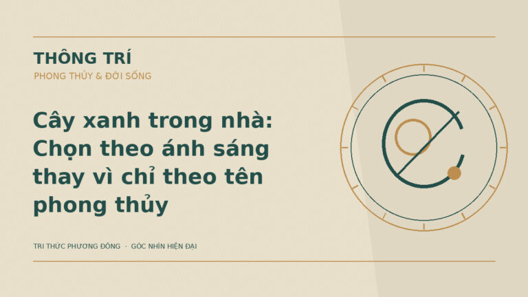Cây xanh trong nhà: Chọn theo ánh sáng thay vì chỉ theo tên phong thủy – Hình minh họa Thông Trí